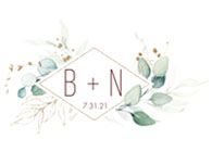 brian and nicole wedding logo